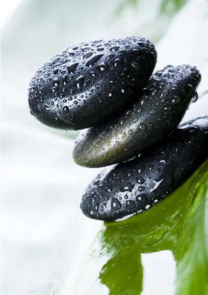 Piedras húmedas — Foto de Stock