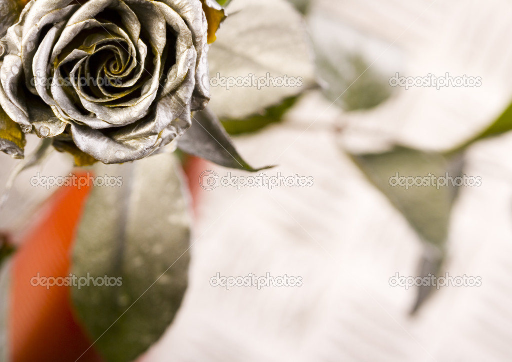 Silver rose