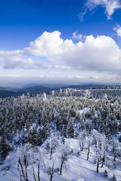 Winter landscape — Stock Photo, Image