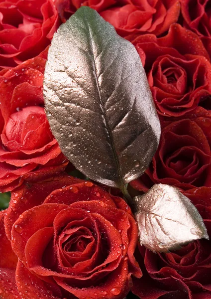 Романтичні троянди — стокове фото