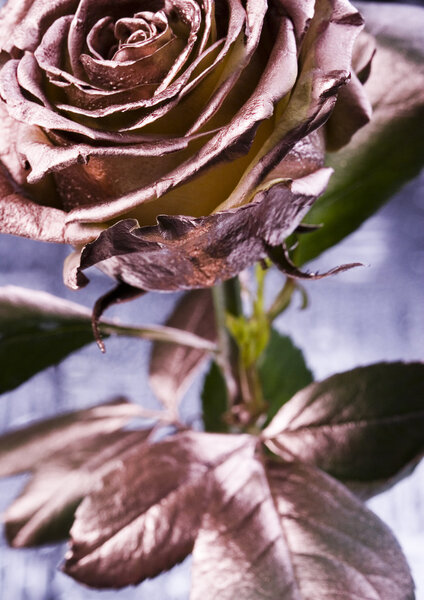 Серебряная
