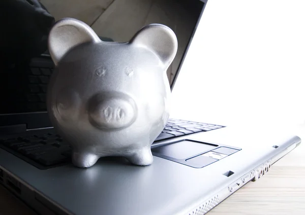 Laptop & banco de porco — Fotografia de Stock