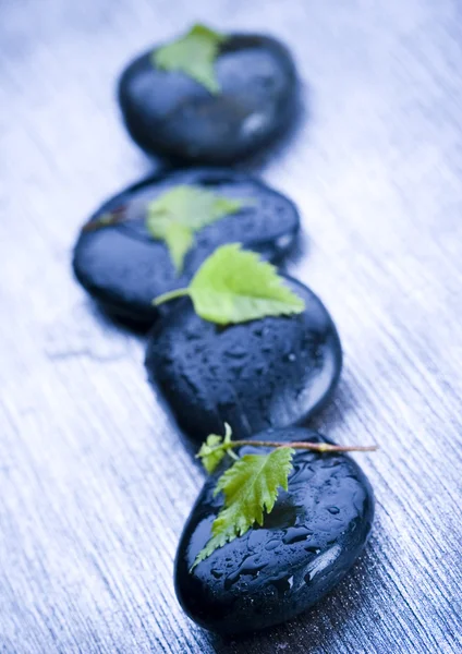 Leaf & Stones — Stock Photo, Image