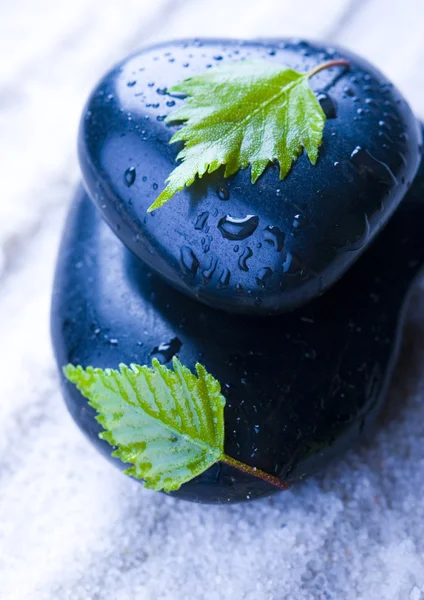 Leaf & Stones — Stock Photo, Image