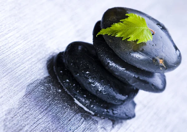 Leaf & Stones — Stock Photo, Image