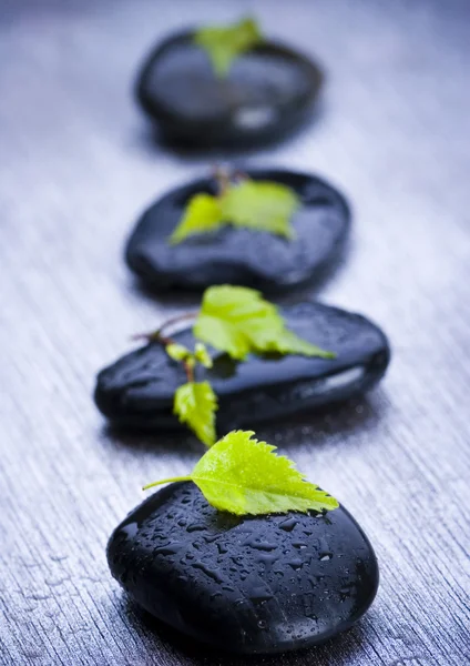 Leaf & Stones — Stock Photo, Image