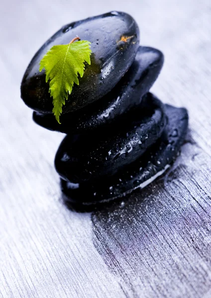 Leaf & Stones — Stock Photo, Image