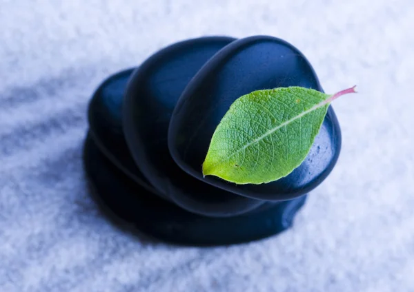 Leaf & Stones — Stock Photo, Image