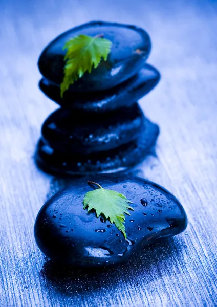 Leaf & Stones — Stock Photo, Image