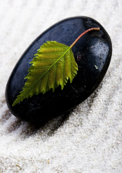 Zen leaf and stone — Stock Photo, Image