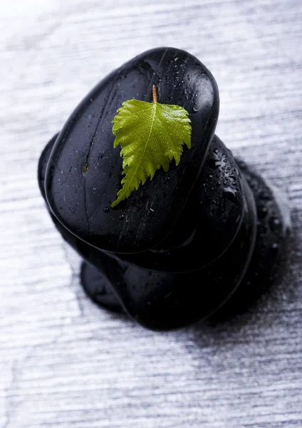 Leaf & stenar — Stockfoto