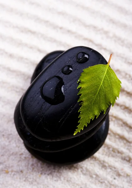 Leaf & Stones — Stock Photo, Image