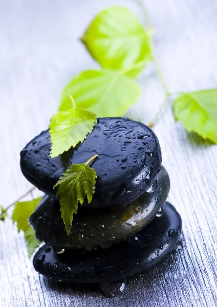 Leaf & Stones — Stock Photo, Image