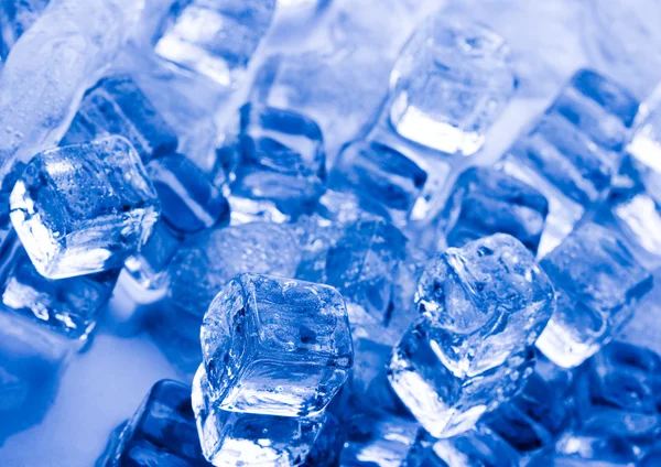 Ice cubes Stock Picture