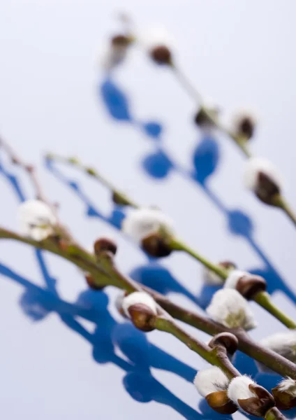 Påsk symbol — Stockfoto