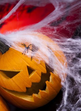 korkutucu jack, Cadılar Bayramı Balkabağı ve örümcek