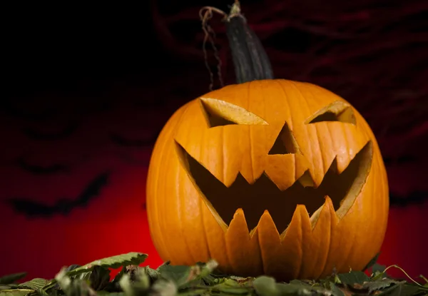 Zucca per Halloween — Foto Stock