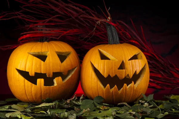 Calabazas de Halloween en los murciélagos de hierba — Foto de Stock