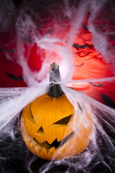 Halloween pumpkin Jack, spider web — Stock Photo, Image