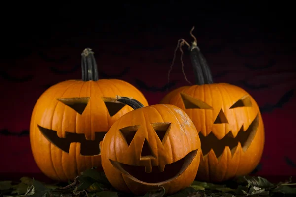 Zucche di Halloween nei pipistrelli erba — Foto Stock