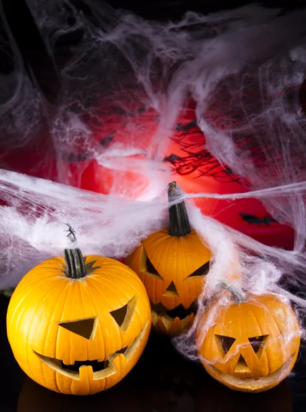 Spinnennetz, Halloween-Kürbis-Buchse — Stockfoto