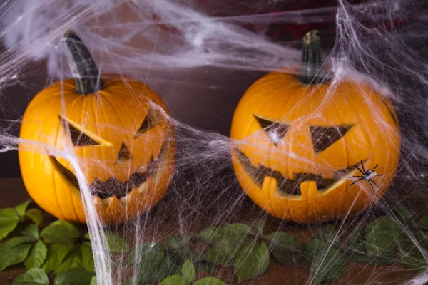 Spindelnät, halloween pumpa jack — Stockfoto