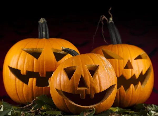 Calabazas de Halloween en los murciélagos de hierba —  Fotos de Stock