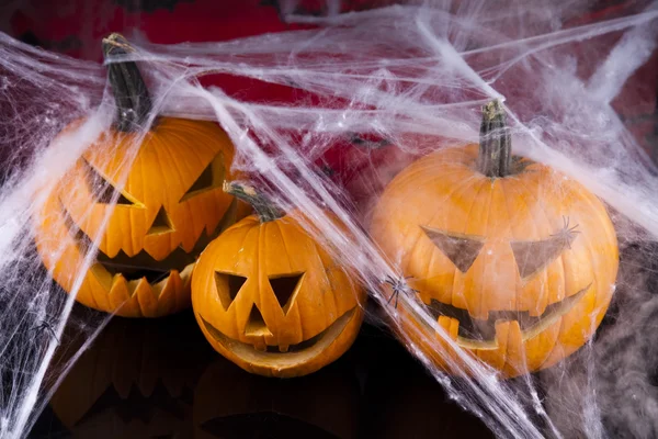 Halloween background with web and spider,pumpkin — Stock Photo, Image