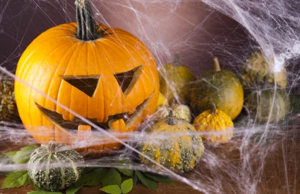 Halloween pompoen jack, spinnenweb — Stockfoto