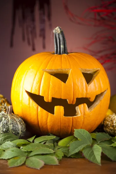 Zucca per Halloween — Foto Stock