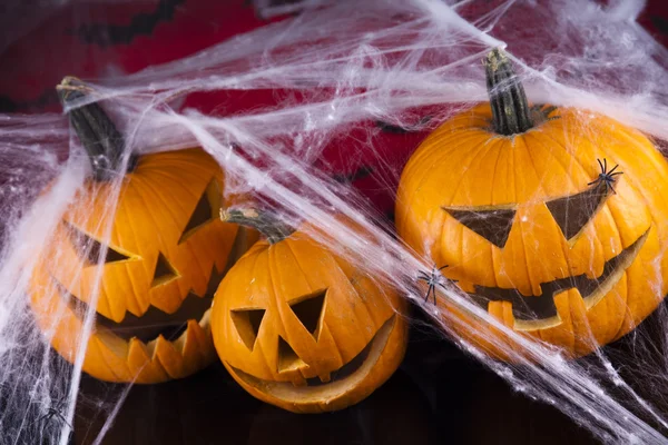 Spider web, Halloween pumpkin Jack Stock Picture