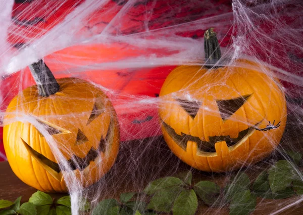 Halloween bakgrund med web och spindel, pumpa — Stockfoto