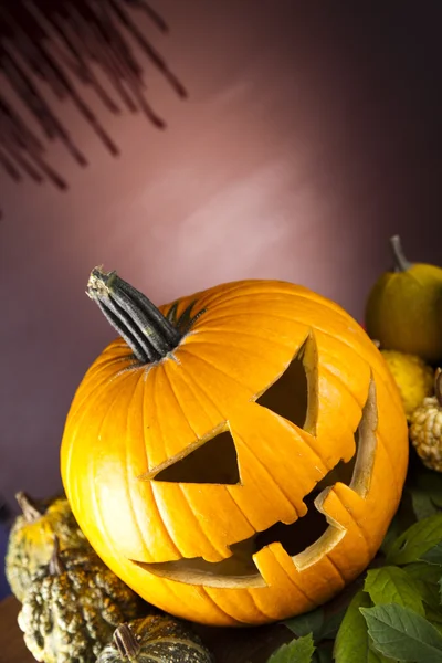 Dýně na Halloween — Stock fotografie