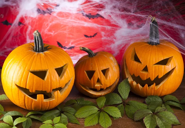 Halloween tło z sieci web i pająk, dynia — Zdjęcie stockowe