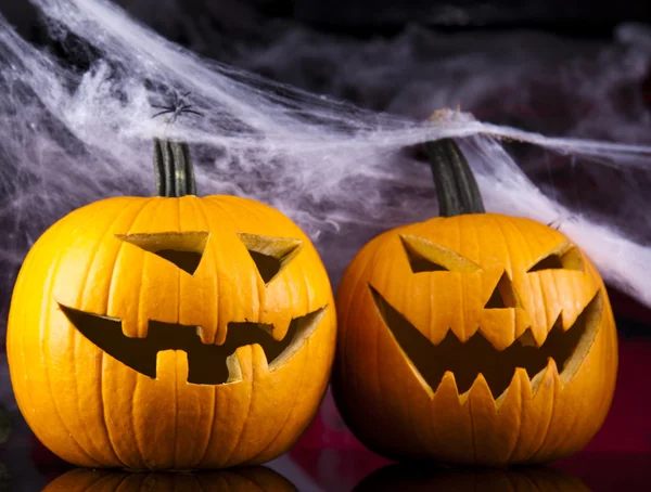 Halloween bakgrund med web och spindel, pumpa — Stockfoto