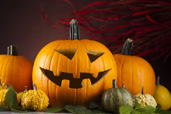 Roliga ansikte pumpa, halloween — Stockfoto