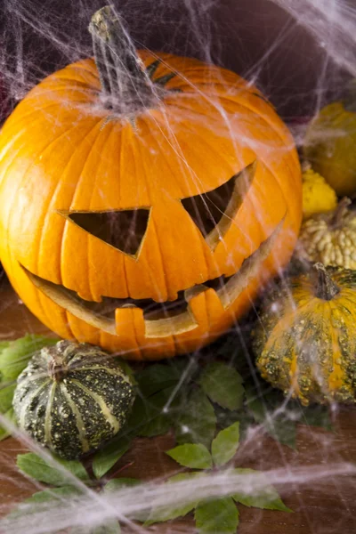 Eng jack, halloween pompoen en spin — Stockfoto