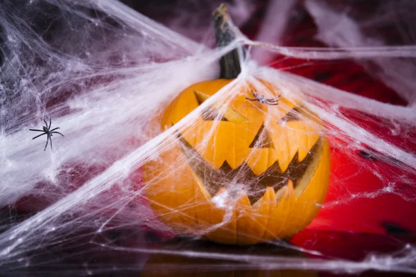 Halloween pumpkin Jack, spider web — Stock Photo, Image