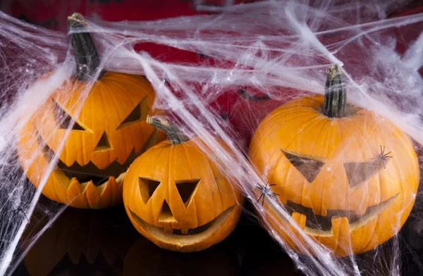 Fondo de Halloween con tela y araña, calabaza —  Fotos de Stock