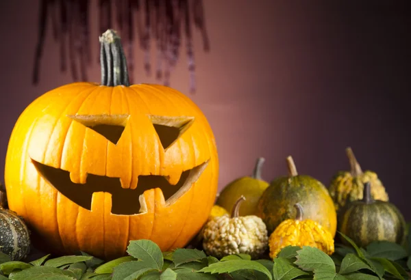 Halloween pumpa, skrämmande jack — Stockfoto