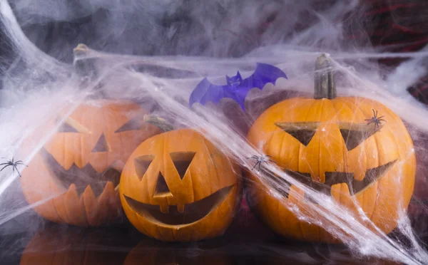 Spinnennetz, Halloween-Kürbis-Buchse — Stockfoto