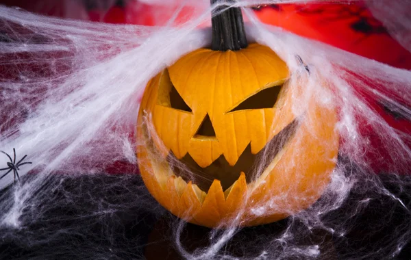 Örümcek ağı, halloween balkabağı jack — Stok fotoğraf