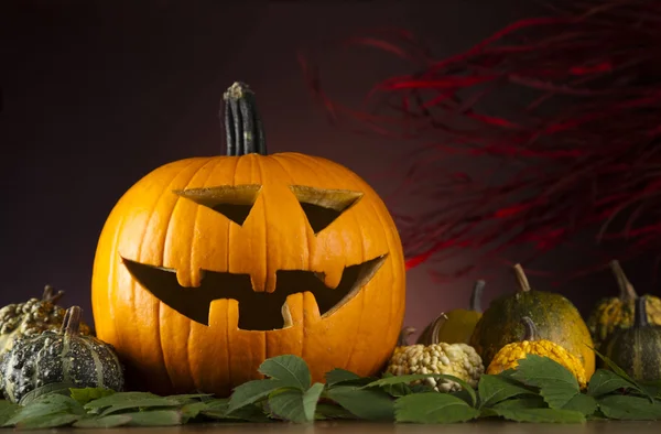 Calabaza para Halloween —  Fotos de Stock