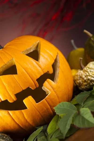 Pumpkin for Halloween — Stock Photo, Image