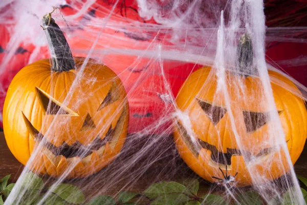 Halloween background with web and spider,pumpkin — Stock Photo, Image