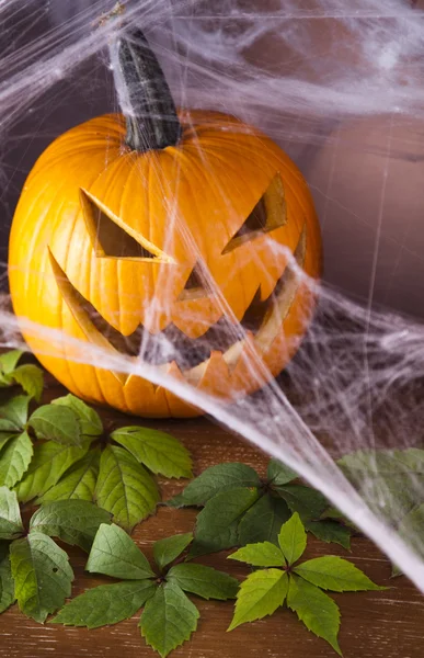 Spider web, Halloween pumpkin Jack — Stock Photo, Image