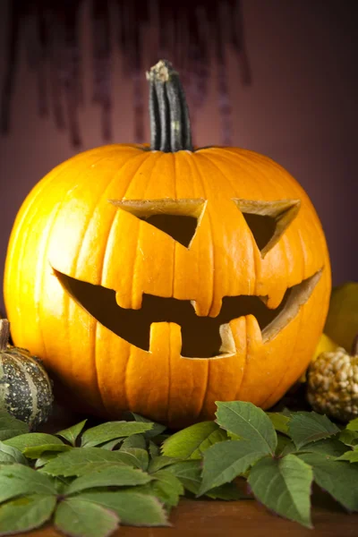 Pumpa för halloween — Stockfoto