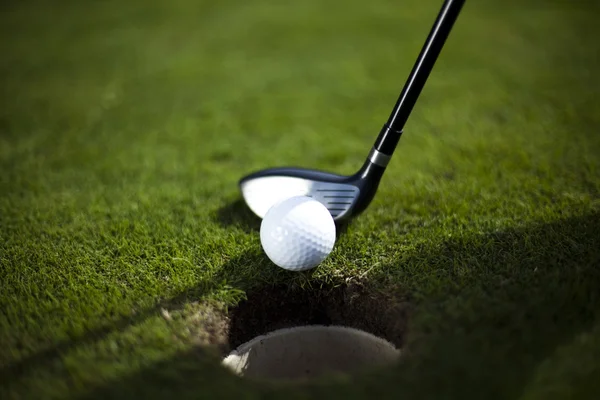 Golfboll på grön äng, driver — Stockfoto