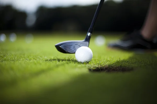 Pelota de golf en prado verde, conductor — Foto de Stock