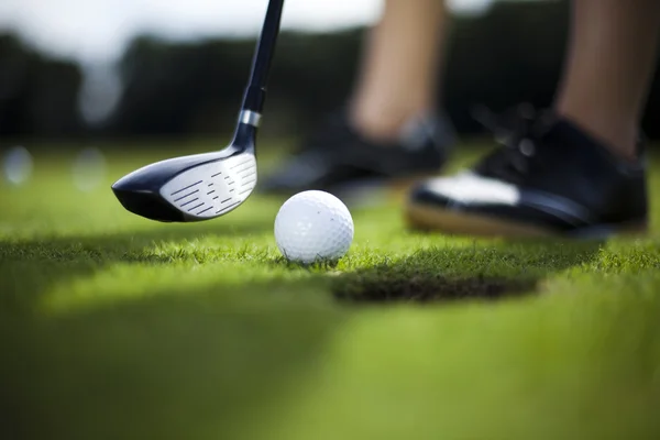 Мяч для гольфа на зеленом лугу, водитель — стоковое фото